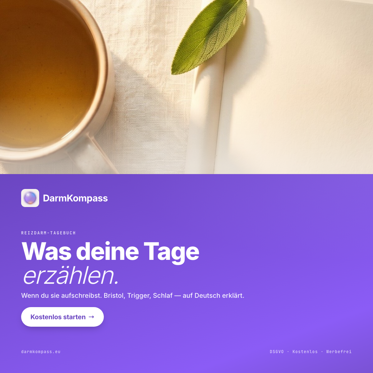 04-was-deine-tage-erzaehlen-square-photo-top-violet