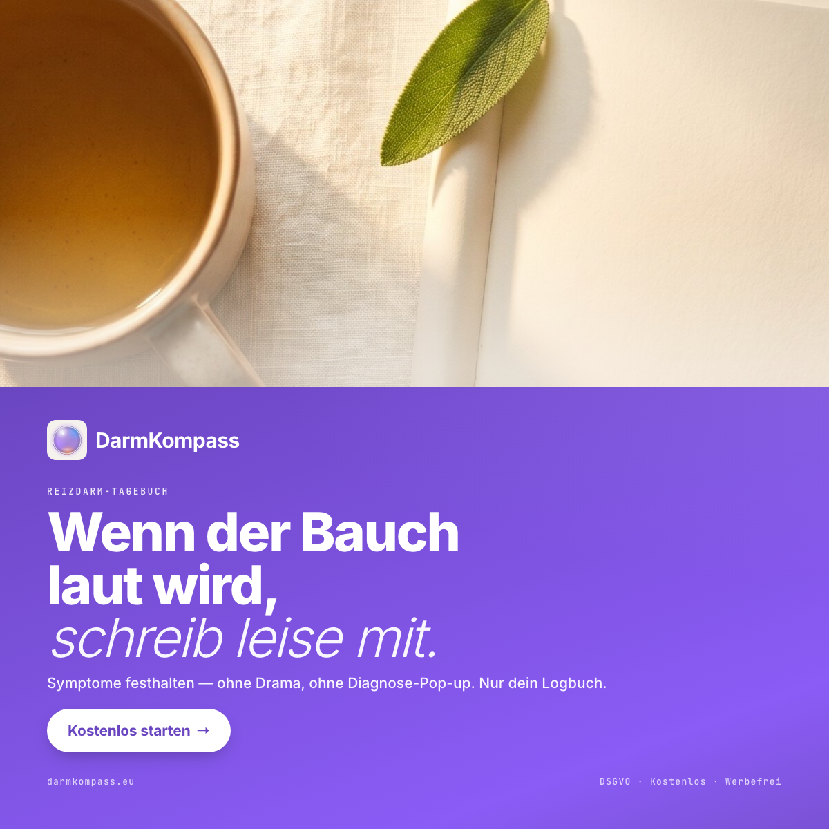 10-bauch-laut-leise-mitschreiben-square-photo-top-violet